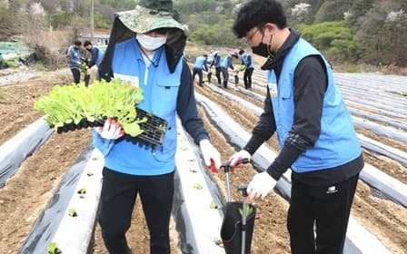 봉사에 참가한 KT&G 임직원들이 이식 작업을 진행하고 있는 모습.