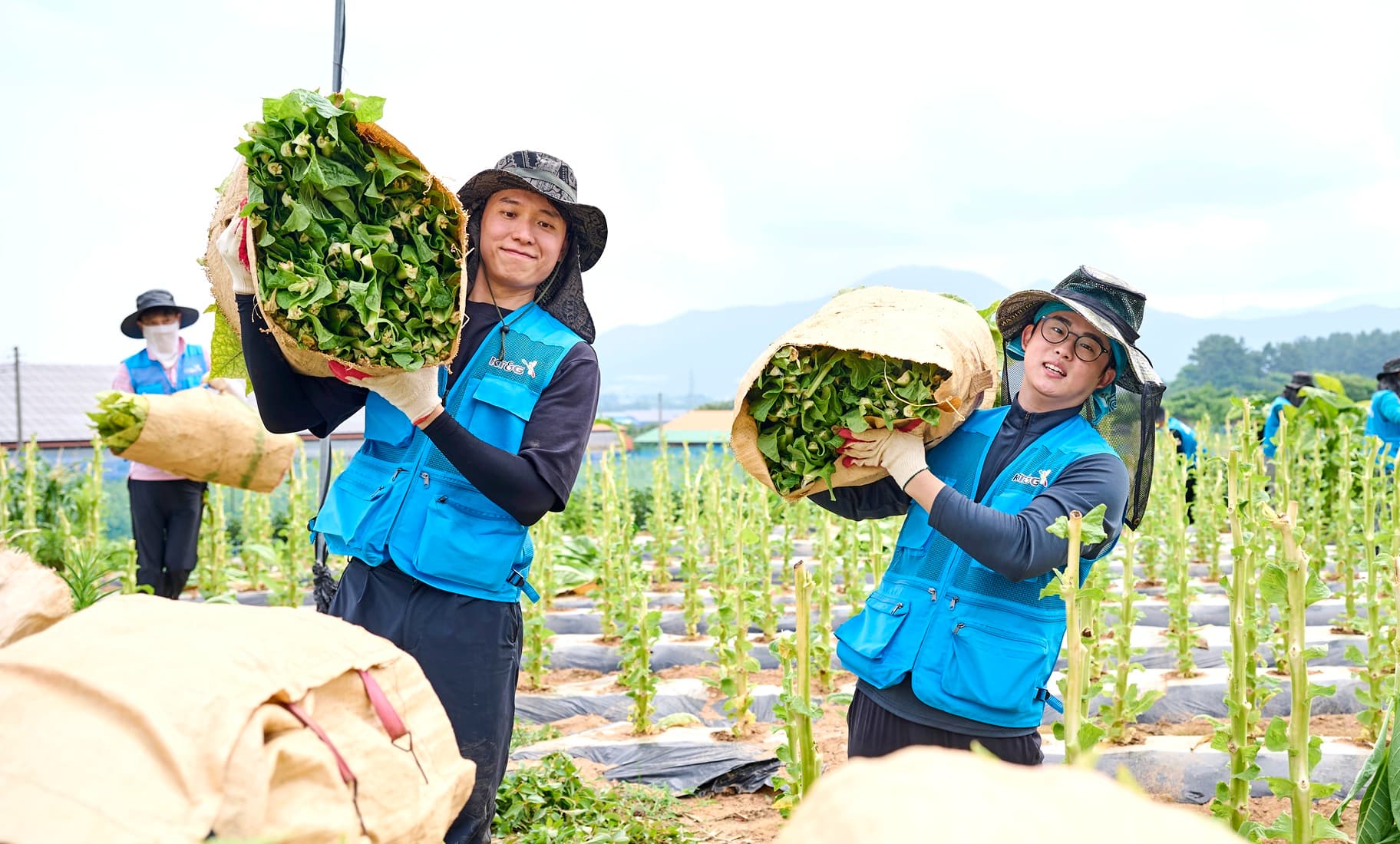 KT&G Marks 20 Years of Partnership with Tobacco Farmers Through Volunteer Program